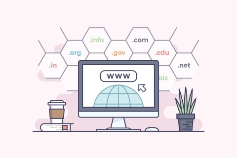 Domain Name